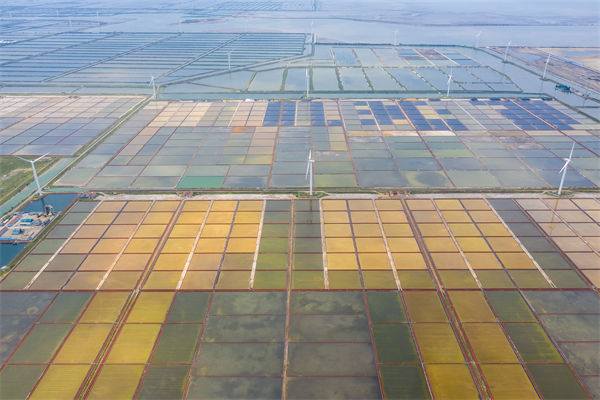 潍坊集团子公司失控内耗严重，潍坊集团管控咨询公司如何重构权责体系？