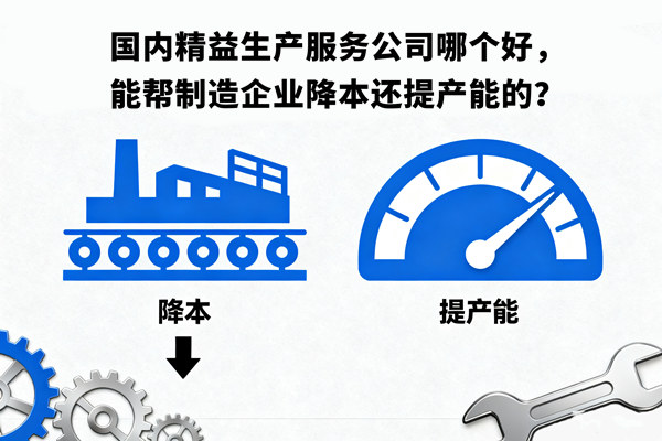 国内精益生产服务公司哪个好，能帮制造企业降本还提产能的？