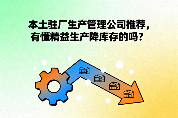 本土驻厂生产管理公司推荐，有懂精益生产降库存的吗？